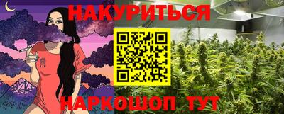 дмт Будённовск
