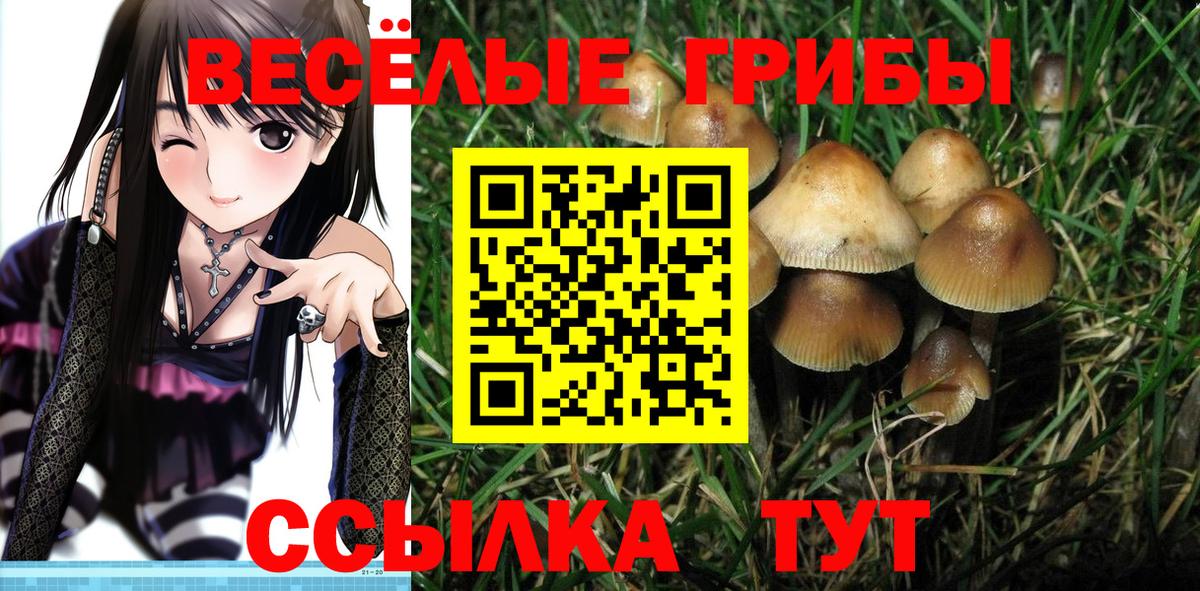 Псилоцибиновые грибы мухоморы Петровск